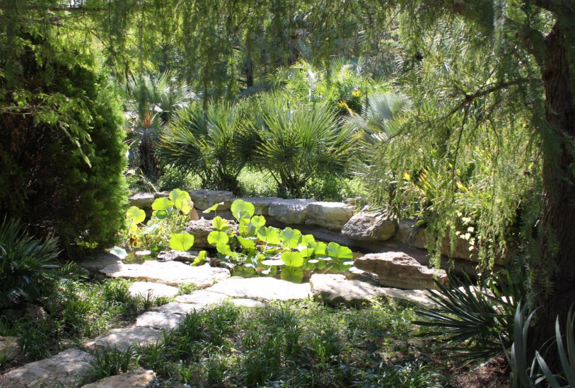 Zilker Botanical Garden, United States
